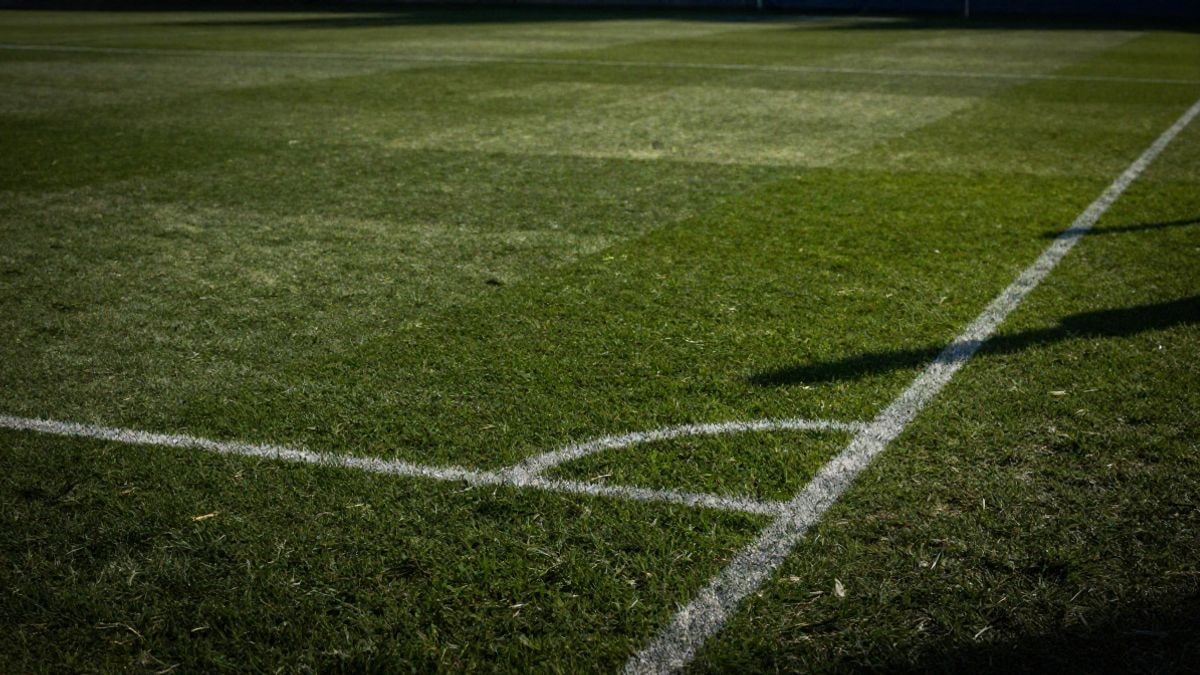 Imagen ilustrativa: detalle del césped de un campo de fútbol con líneas blancas y luz natural