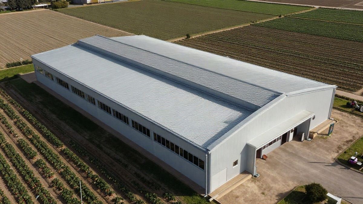 Imagen ilustrativa: vista cenital de un centro de interpretación agrícola rodeado de campos de cultivo