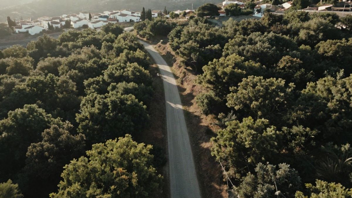 Imagen ilustrativa: vista cenital de una carretera sinuosa entre bosques y tejados blancos
