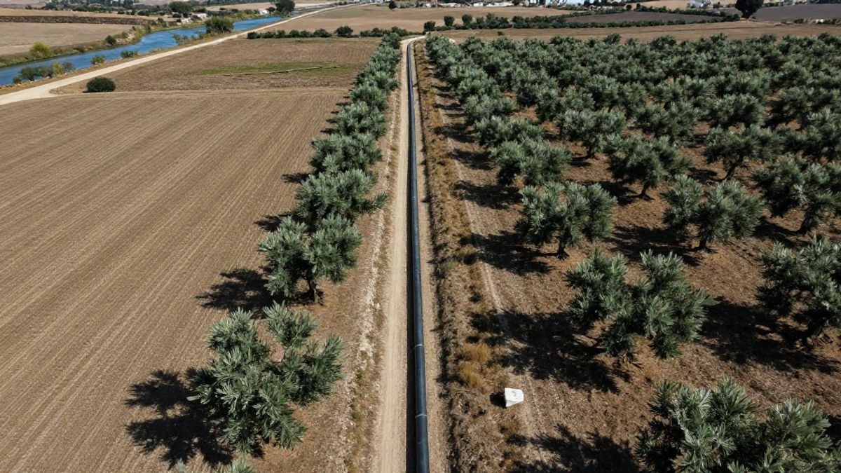 Imagen ilustrativa: vista cenital de un trazado de tubería sobre campos de olivar y cultivos