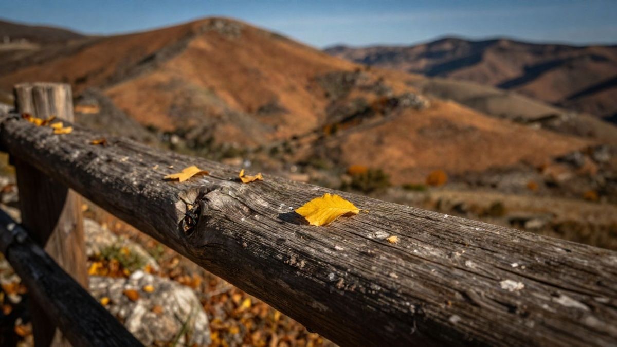 Imagen ilustrativa: detalle de una valla de madera y piedra rústica con hojas de otoño en un paisaje de colinas al atardecer