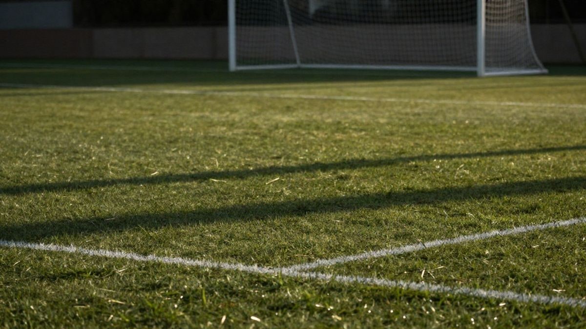 Imagen ilustrativa: detalle de una portería con red sobre el césped de un campo de fútbol