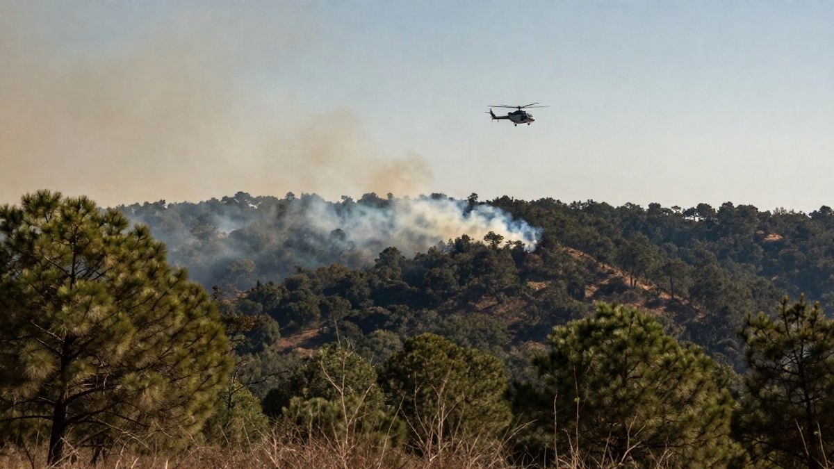Imagen ilustrativa: columna de humo en una ladera forestal y un helicóptero descargando agua