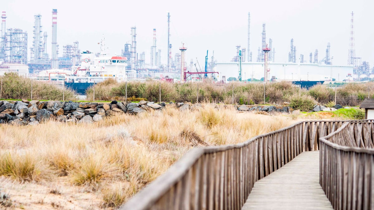 Pasarela de madera entre marismas con la refinería y buques al fondo junto a la ría