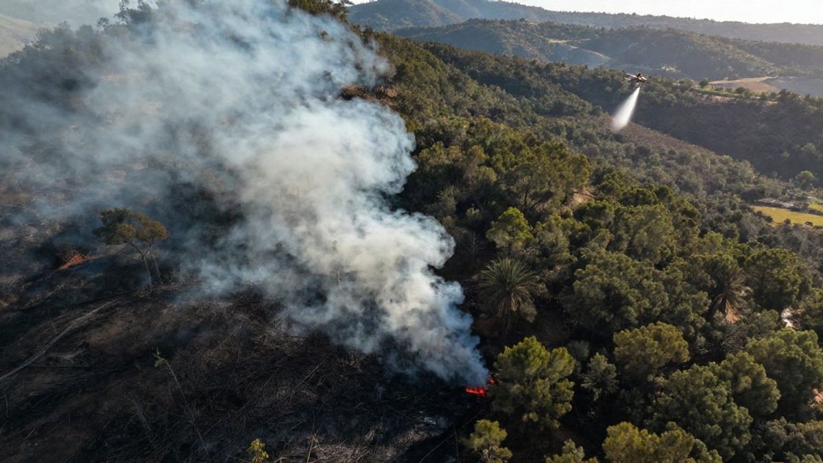 Imagen ilustrativa: vista cenital de un incendio forestal con columna de humo y aeronaves de extinción