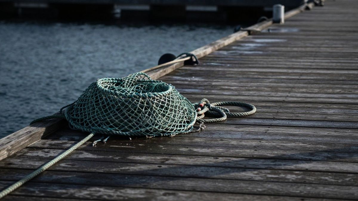 Imagen ilustrativa: redes de pesca enrolladas sobre un muelle de madera mojado en un puerto tranquilo al atardecer
