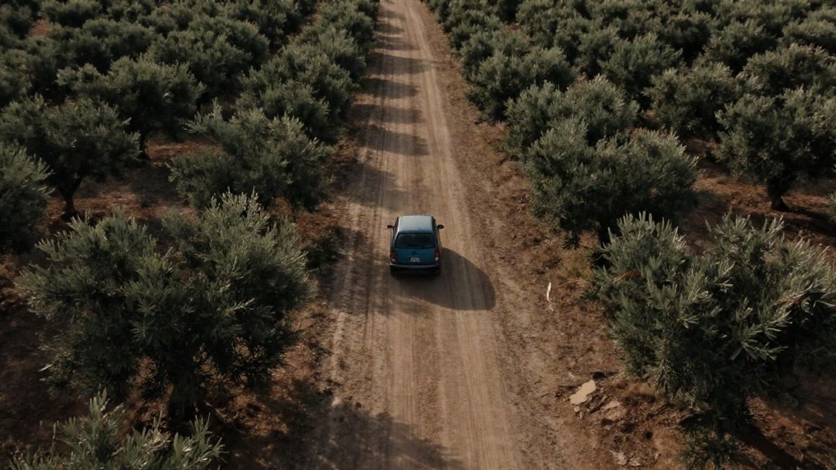 Imagen ilustrativa: vista aérea de un camino rural de tierra entre olivos al atardecer, con un coche aparcado y sombras largas
