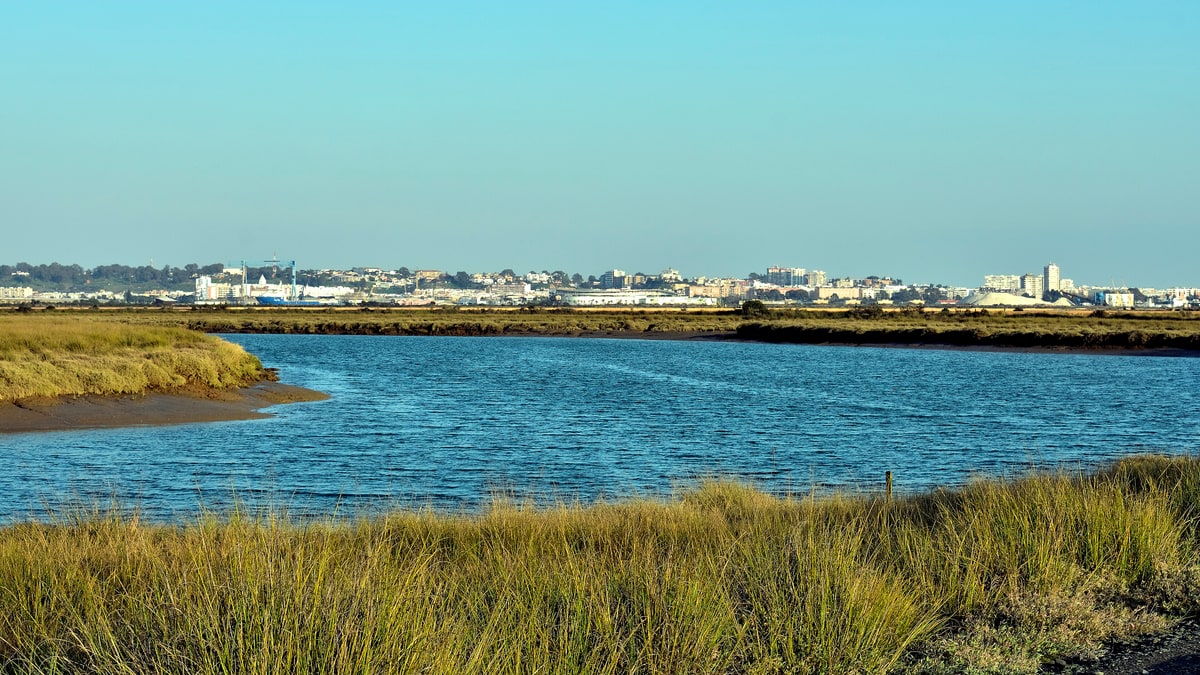 Estero de marismas con agua azul y hierba en primer plano, con el skyline de la ciudad de Huelva al fondo.
