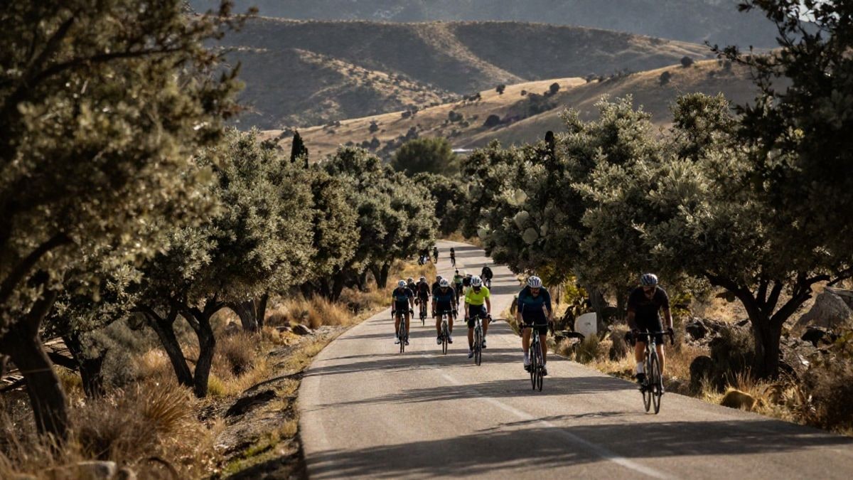 Imagen ilustrativa: un pelotón de ciclistas en una carretera de montaña rodeada de encinas, al amanecer
