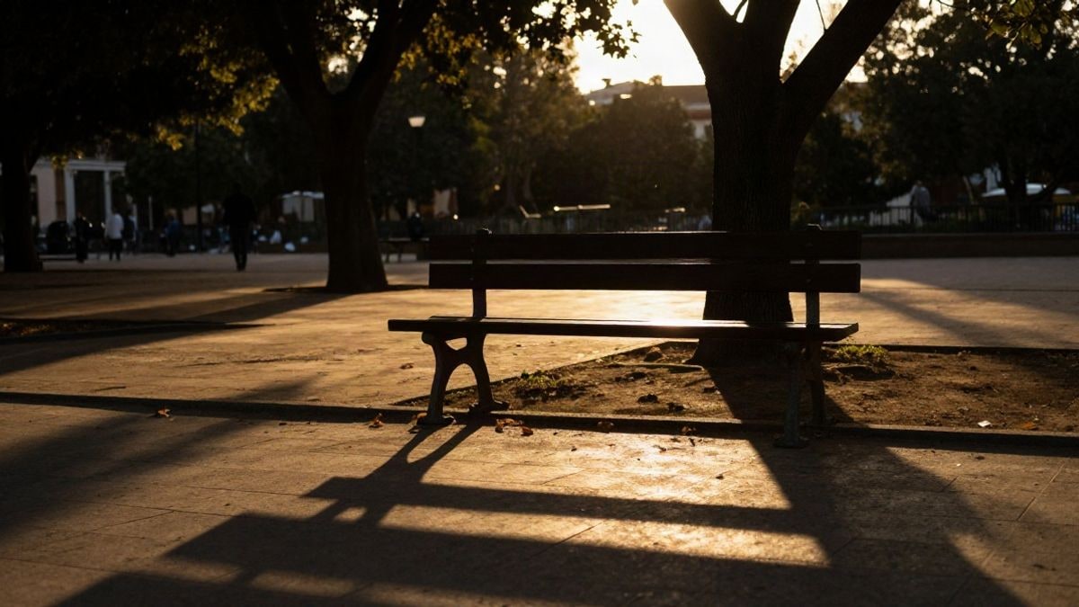 Imagen ilustrativa: silueta de un banco de parque bajo un árbol al atardecer con sombras alargadas