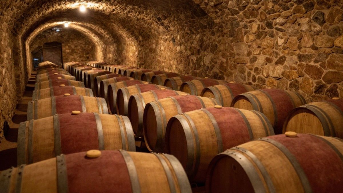 Imagen ilustrativa: filas de barricas de roble en un pasillo de bodega con luz cálida al fondo