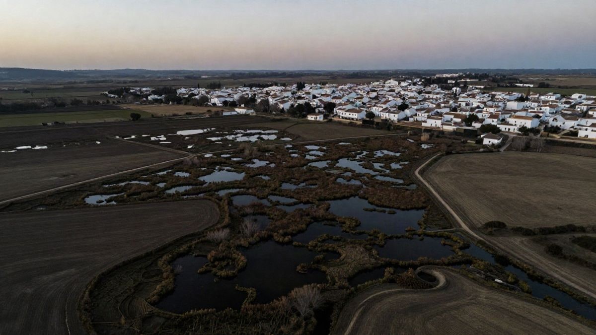 Imagen ilustrativa: paisaje de marismas y campos al atardecer con pueblos blancos al fondo