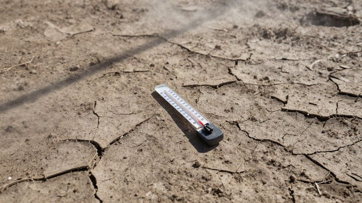 Imagen ilustrativa: vista cenital de tierra agrietada con un termómetro y luz solar intensa