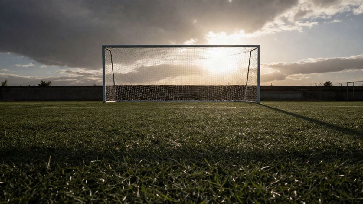 Imagen ilustrativa: ángulo bajo de un campo de fútbol de césped artificial con la portería al fondo bajo un cielo al atardecer