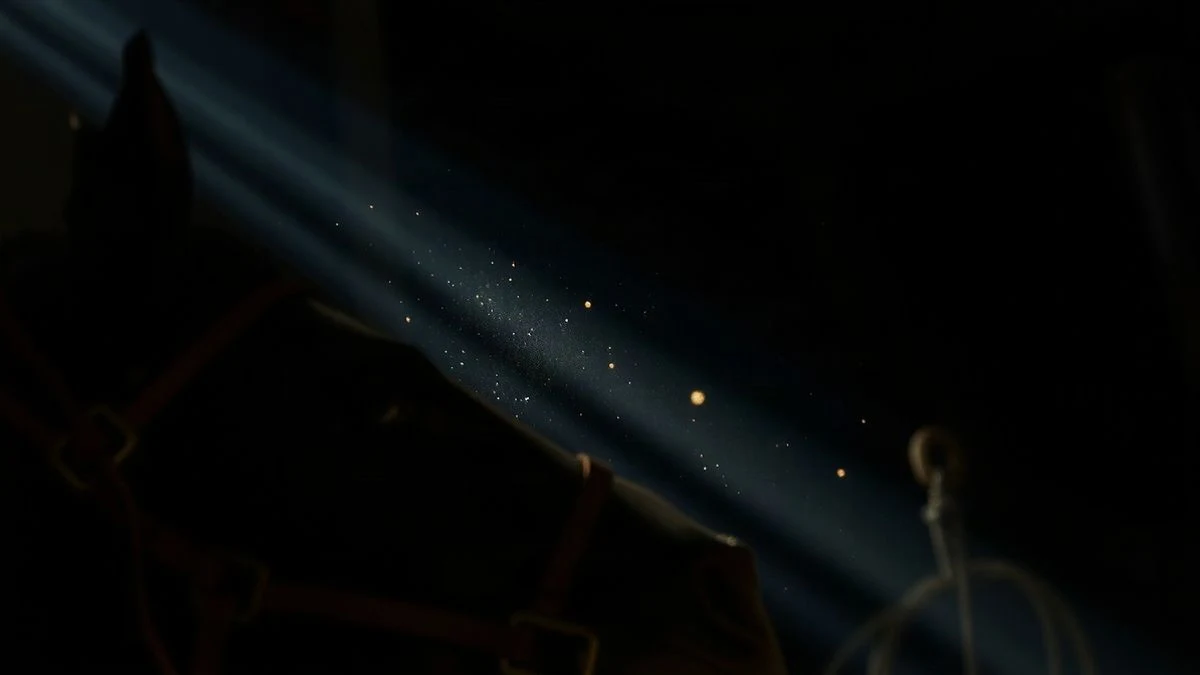 Imagen ilustrativa: la cabeza de un caballo con cabezada en un establo iluminado por la luz de una ventana lateral.