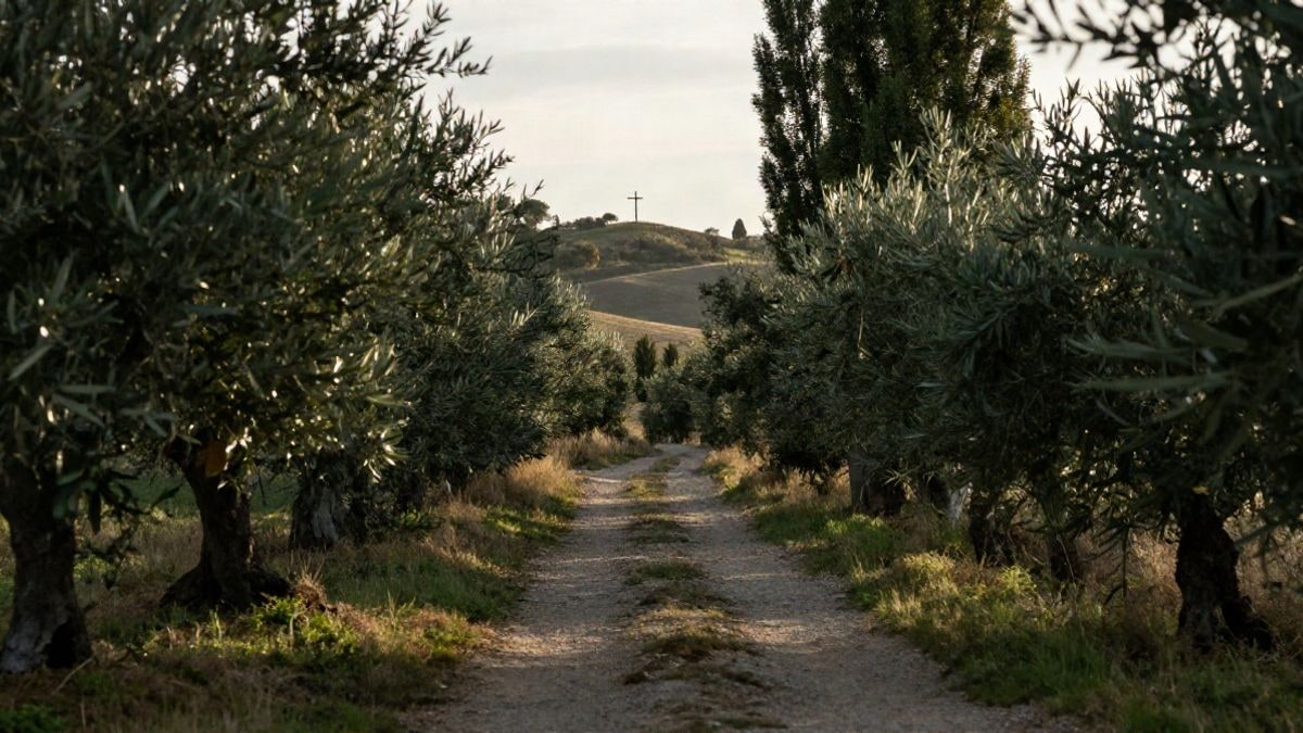Imagen ilustrativa: un sendero entre olivos y chopos en un paisaje rural al amanecer, con una pequeña cruz de madera al fondo.