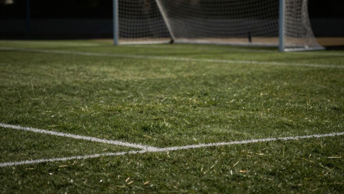 Imagen ilustrativa: detalle del césped de un campo de fútbol con líneas blancas y una portería desenfocada al fondo