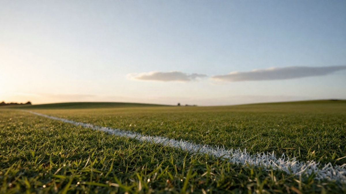 Imagen ilustrativa: césped de campo de fútbol visto a ras de suelo con línea blanca y cielo de atardecer al fondo