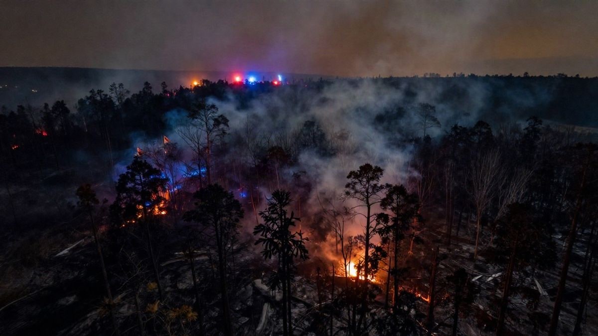 Imagen ilustrativa: vista nocturna de un paisaje forestal afectado por un incendio con luces de emergencia al fondo