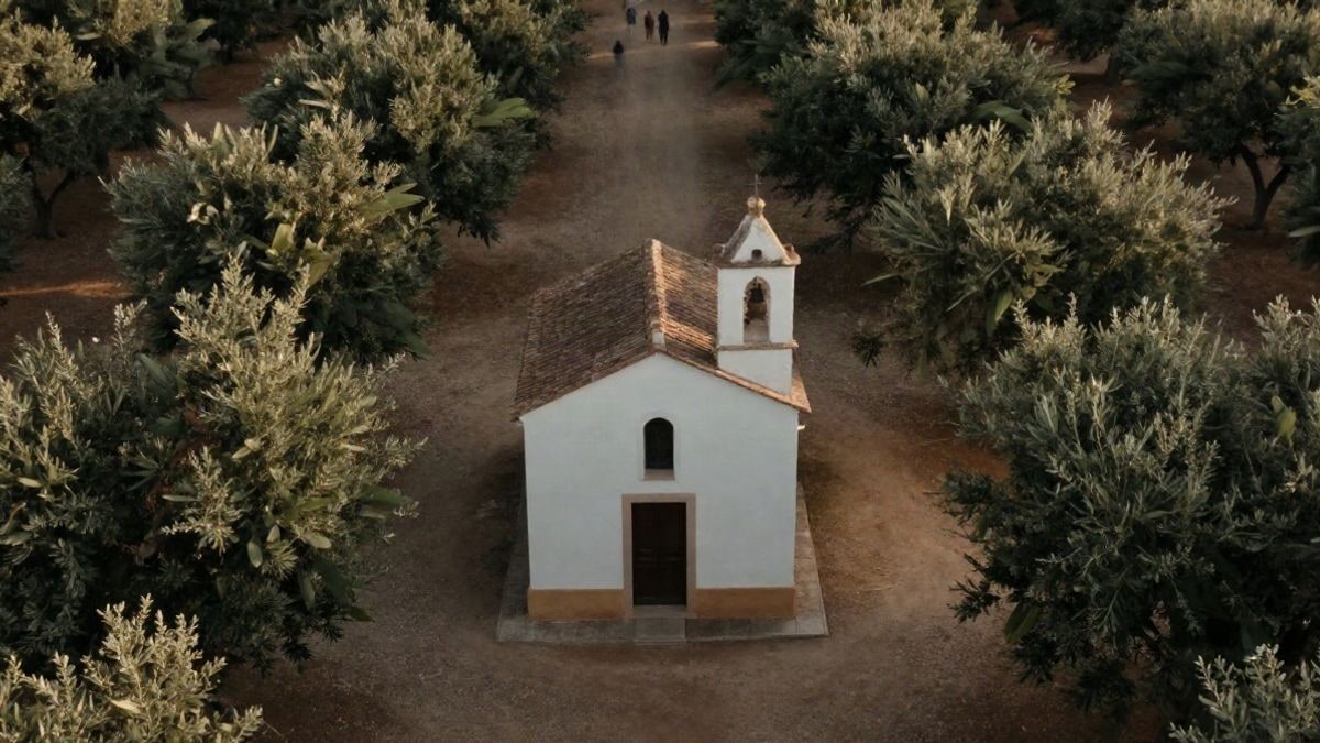 Imagen ilustrativa: vista cenital de una pequeña ermita blanca rodeada de olivos y un camino de tierra al atardecer
