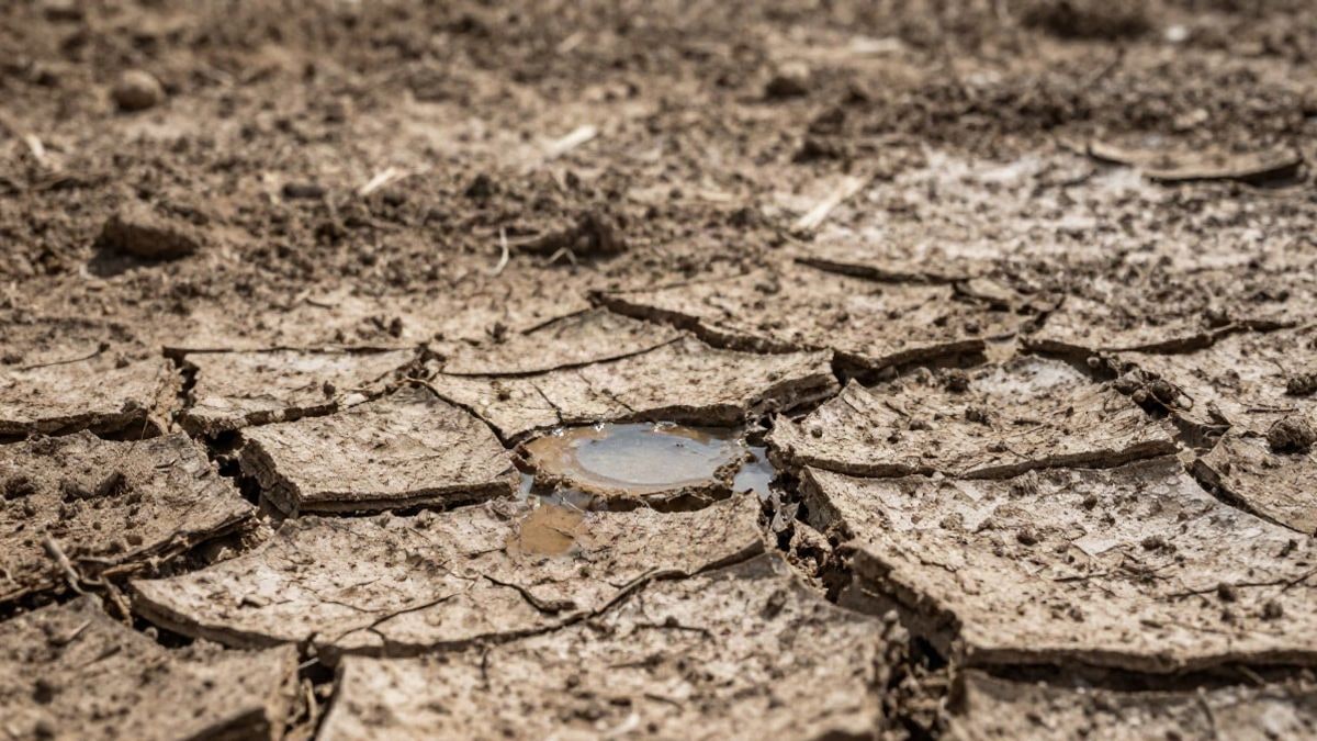 Imagen ilustrativa: detalle de tierra seca y agrietada con una pequeña charca de agua en un campo