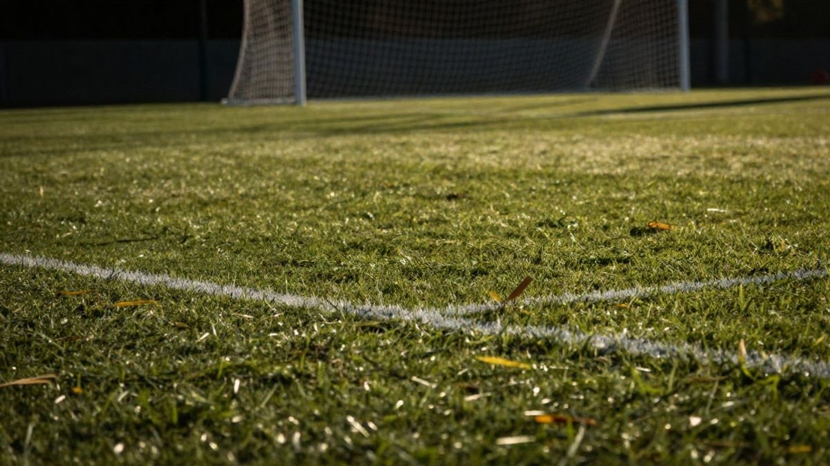 Imagen ilustrativa: detalle del césped y la línea de un campo de fútbol con la red de la portería al fondo
