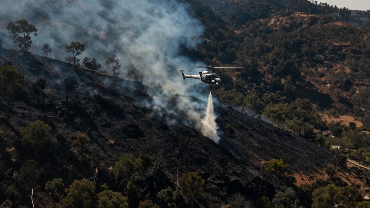Imagen ilustrativa: vista aérea de una ladera forestal con humo y un helicóptero de extinción descargando agua.