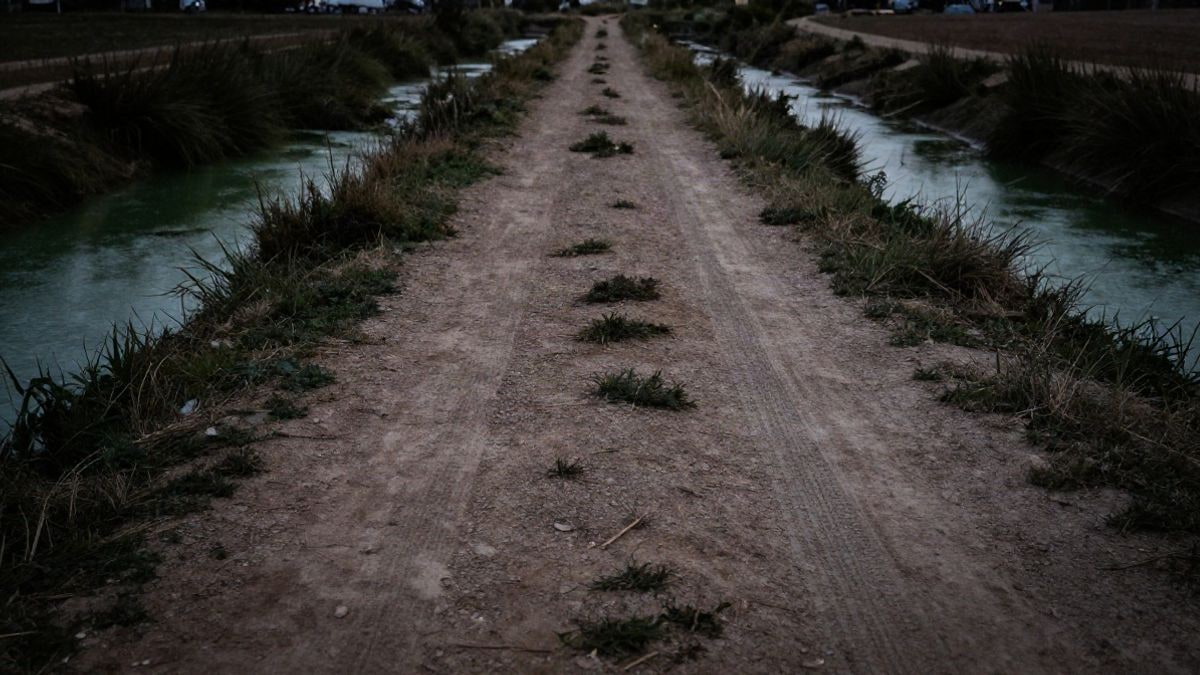 Imagen ilustrativa: un canal de agua estancada junto a un camino de tierra al atardecer, con líneas que convergen.