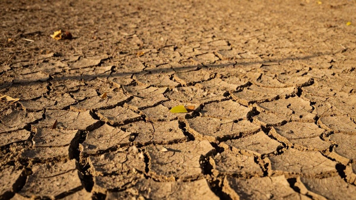Imagen ilustrativa: tierra seca y hojas caídas bajo un sol intenso de octubre
