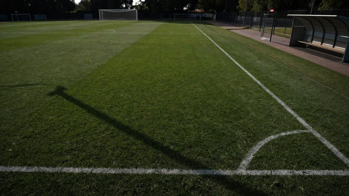 Imagen ilustrativa: campo de fútbol al atardecer con las líneas del terreno convergiendo hacia una portería con red