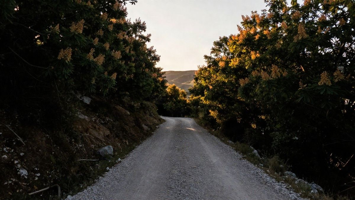 Imagen ilustrativa: sendero de montaña entre castaños con líneas que convergen hacia las colinas al fondo